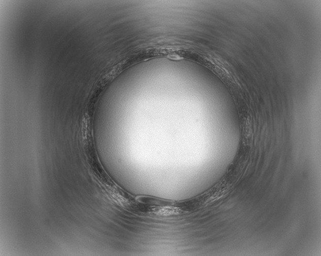 X0000067840463200605041654