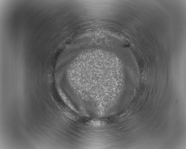 X0000067840464200605041654