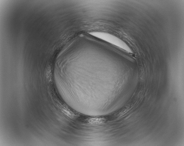 X0000067840465200605041654