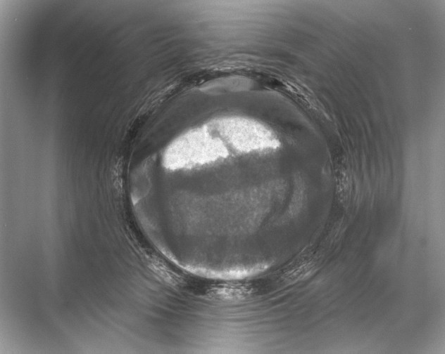 X0000067840466200605041654