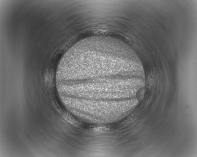 X0000067840468200605041654