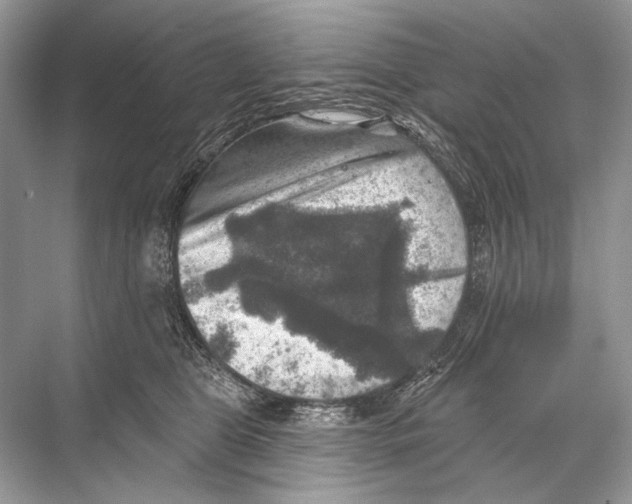 X0000067840469200605041654