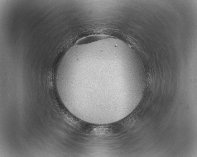 X0000067840470200605041654