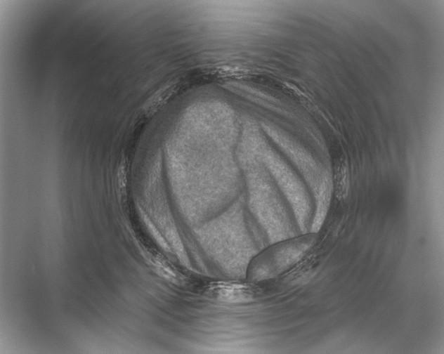 X0000067840472200605041654