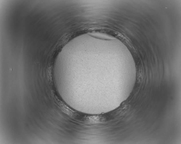 X0000067840473200605041654