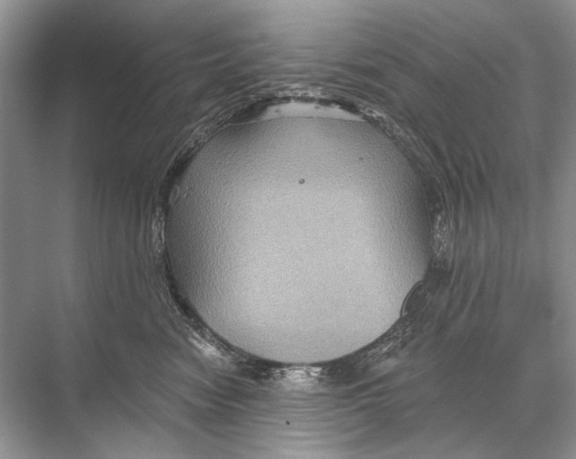 X0000067840474200605041654