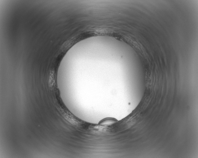 X0000067840478200605041654