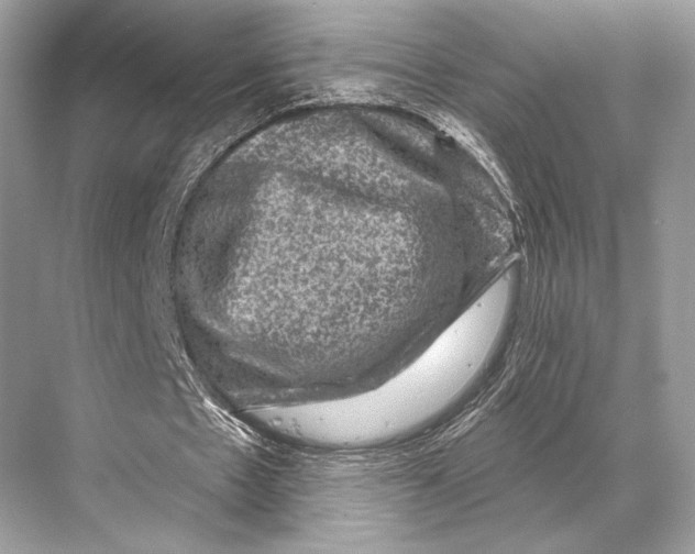 X0000067840481200605041653