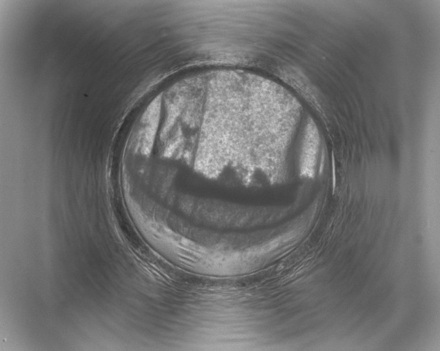 X0000067840483200605041653