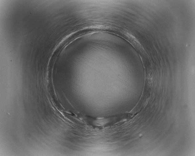 X0000067840484200605041653