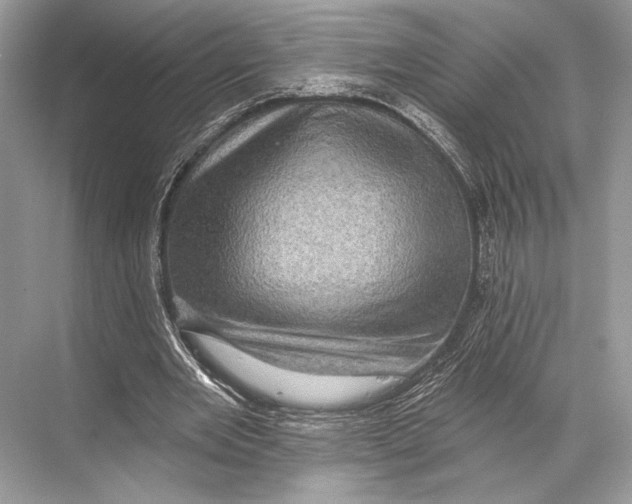 X0000067840485200605041653