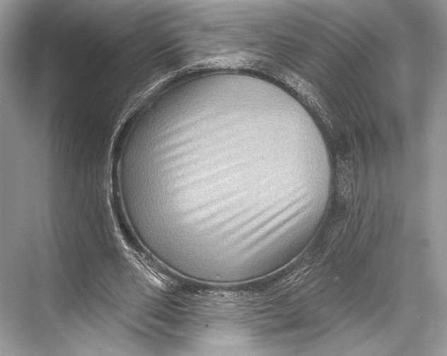 X0000067840486200605041653