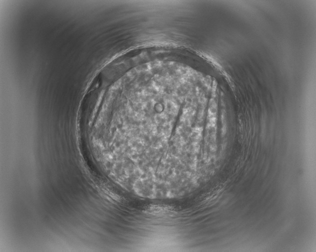 X0000067840487200605041653