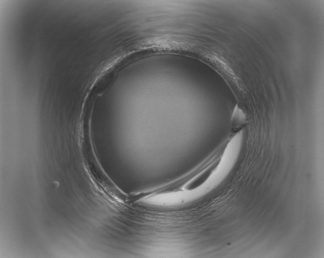 X0000067840488200605041653