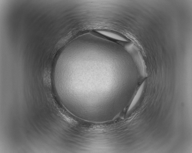 X0000067840489200605041653