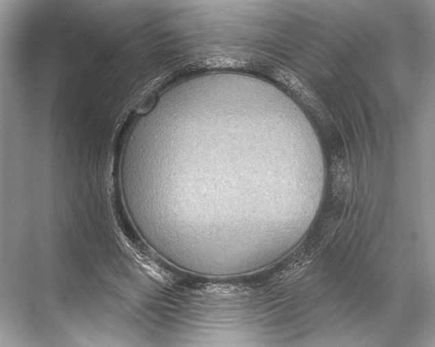 X0000067840490200605041653