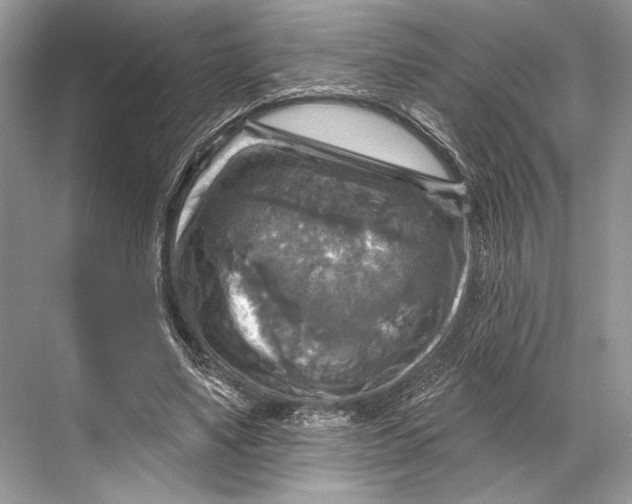 X0000067840491200605041653