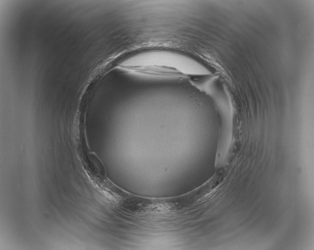 X0000067840492200605041653