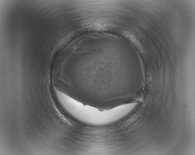 X0000067840493200605041653