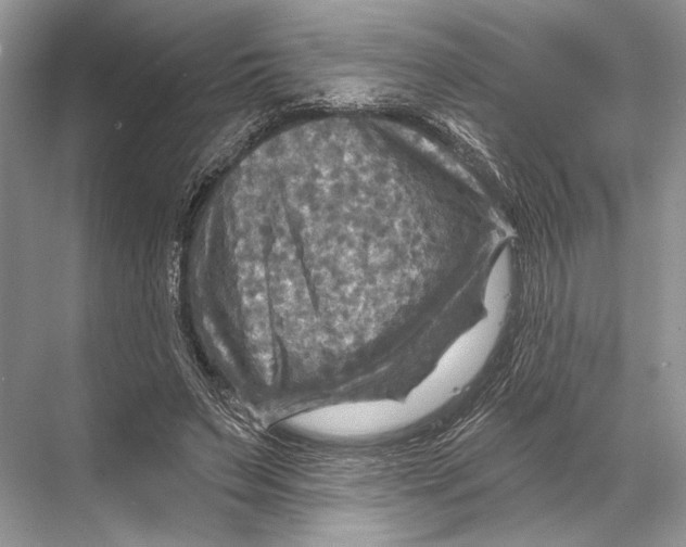 X0000067840495200605041653