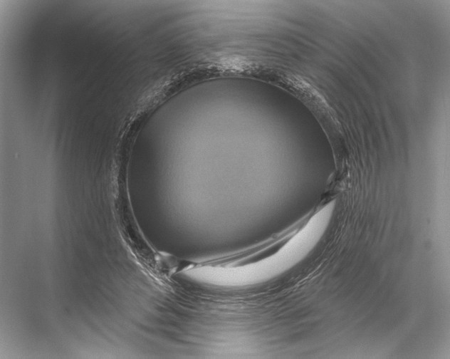 X0000067840496200605041653