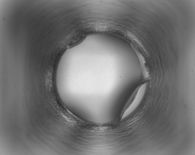 X0000067840497200605041653