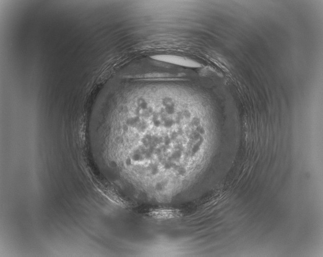 X0000067840499200605041653