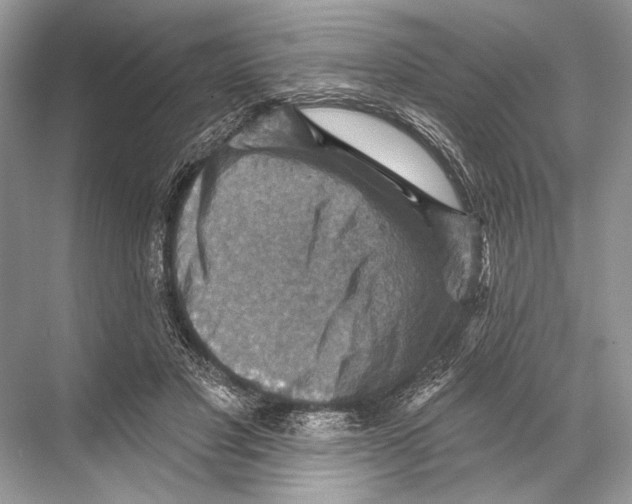 X0000067840501200605041653