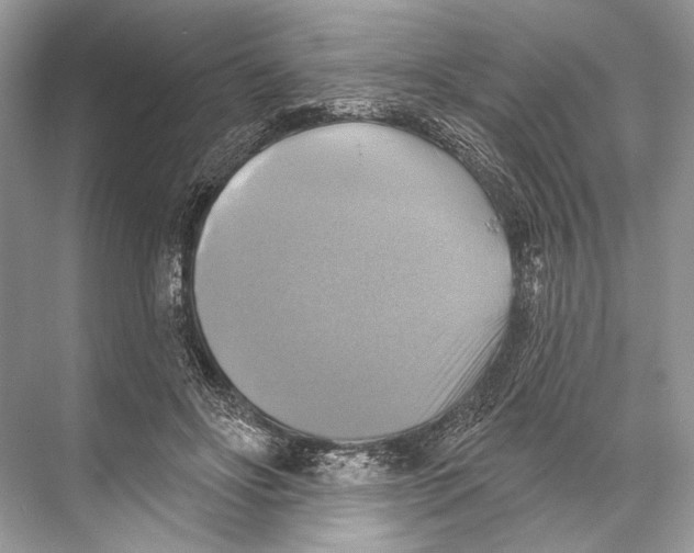 X0000067840502200605041653