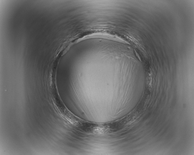 X0000067840504200605041653