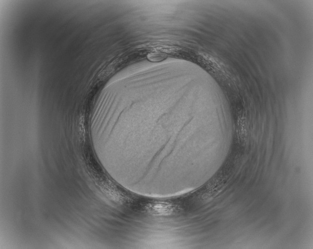 X0000067840506200605041653