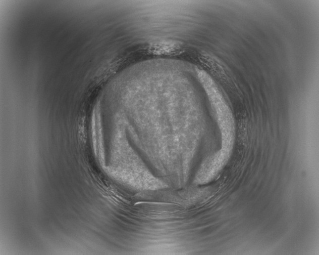 X0000067840510200605041653