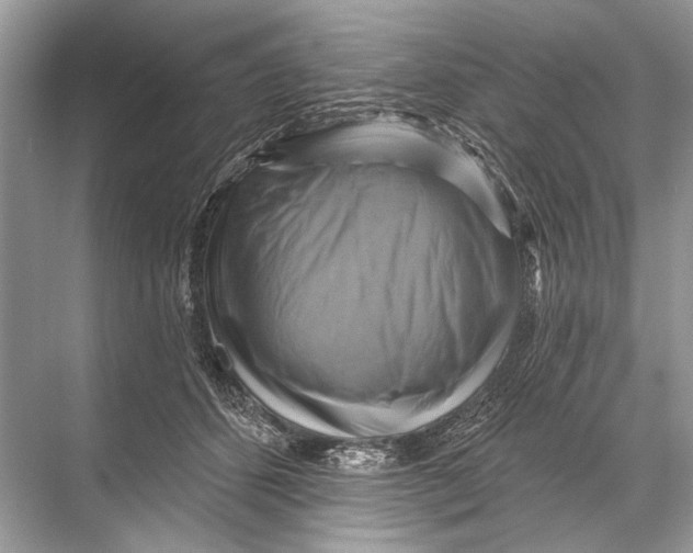 X0000067840512200605041653