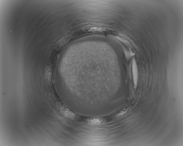 X0000067840513200605041653