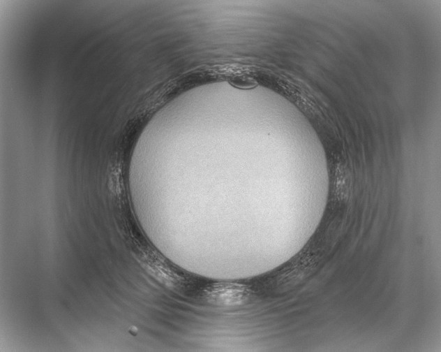 X0000067840514200605041653