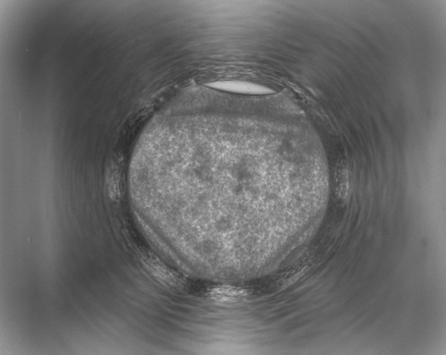 X0000067840515200605041653