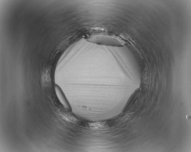 X0000067840516200605041653