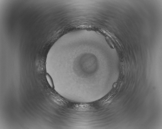 X0000067840517200605041653