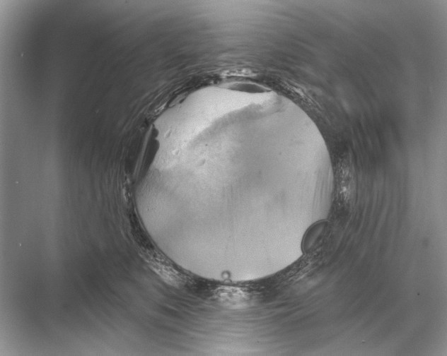 X0000067840519200605041653