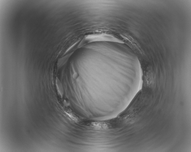 X0000067840520200605041652