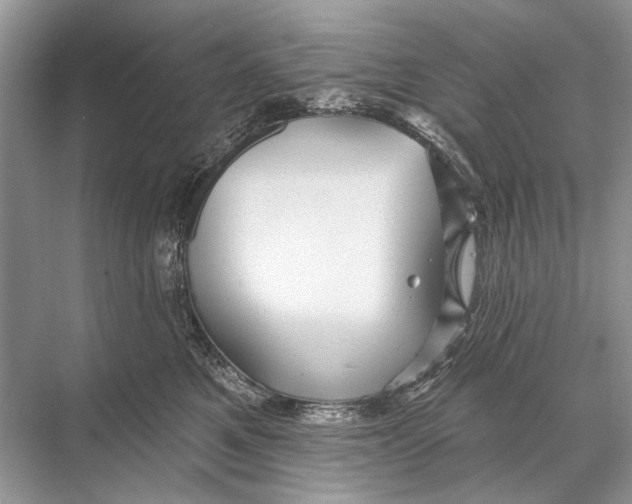 X0000067840521200605041652