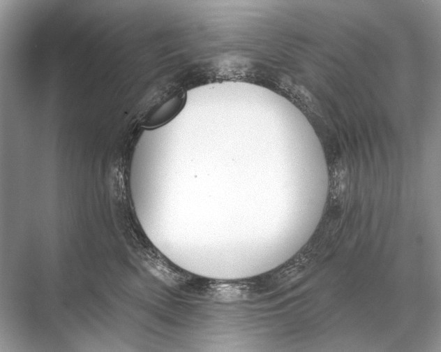 X0000067840522200605041652