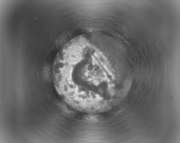 X0000067840523200605041652