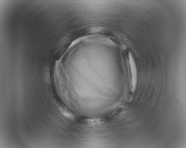 X0000067840524200605041652