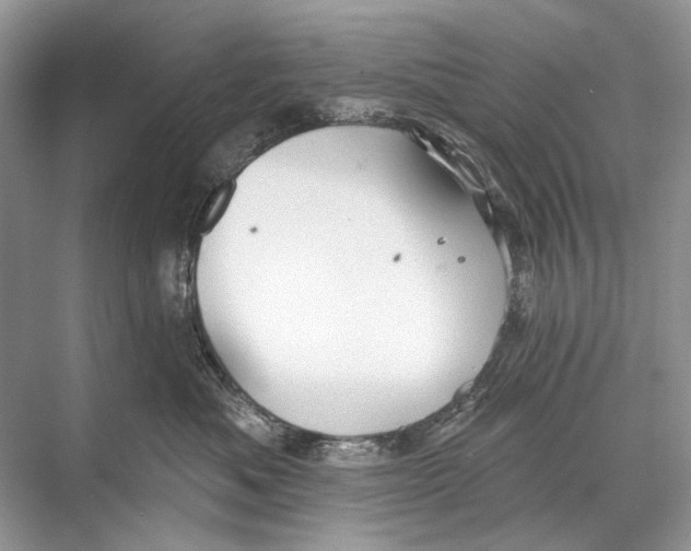 X0000067840525200605041652