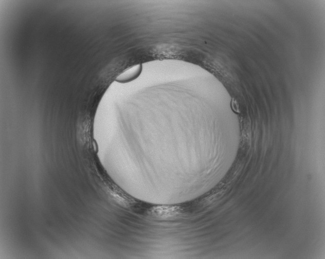 X0000067840526200605041652