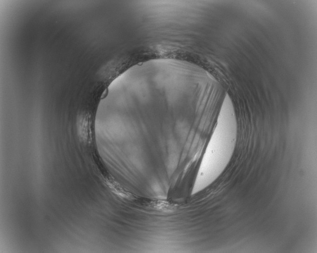 X0000067840527200605041652