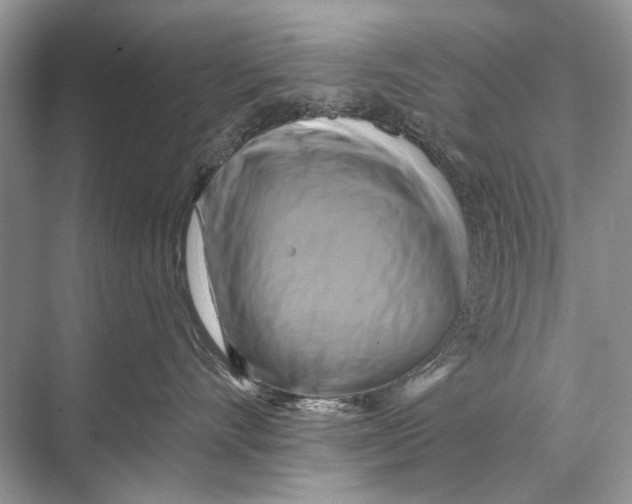 X0000067840528200605041652