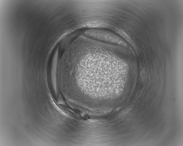 X0000067840530200605041652