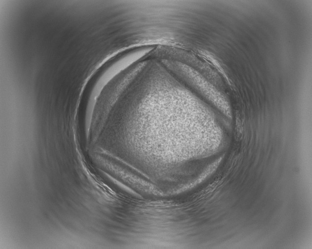 X0000067840532200605041652